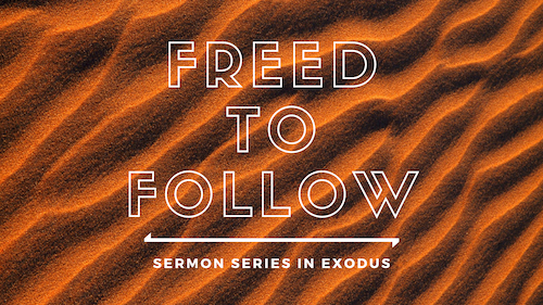 Freed to Follow Sermon Series in Exodus